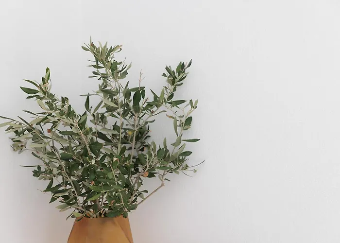 Kana Отель Ambrami